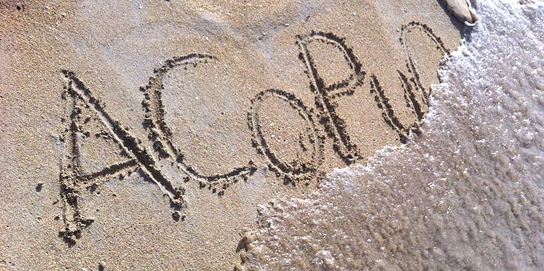 acopuo-playa-vacaciones